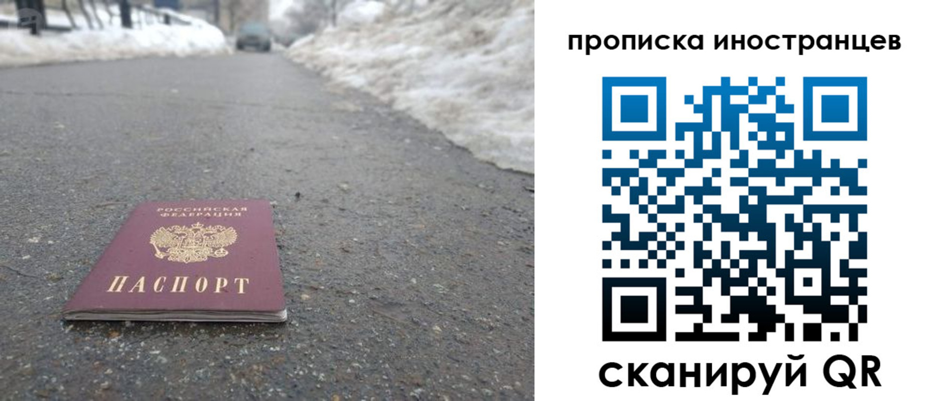 прописка ребенка в Электрогорске